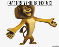 самокаты приехали 