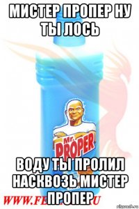 мистер пропер ну ты лось воду ты пролил насквозь мистер пропер