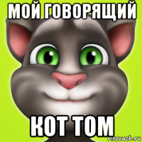 мой говорящий кот том