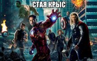 стая крыс 