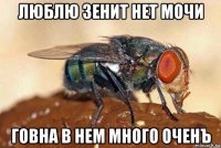 люблю зенит нет мочи говна в нем много оченъ