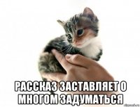  рассказ заставляет о многом задуматься