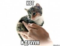 кот и друуук