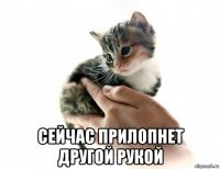  сейчас прилопнет другой рукой