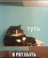  в рот ебуть