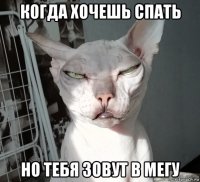 когда хочешь спать но тебя зовут в мегу