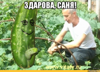 здарова, саня! 