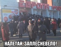  налетай, заплесневело!