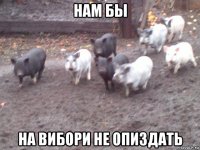 нам бы на вибори не опиздать