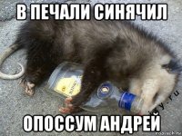 в печали синячил опоссум андрей