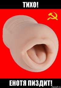 тихо! енотя пиздит!