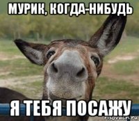 мурик, когда-нибудь я тебя посажу