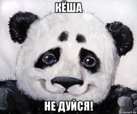 кёша не дуйся!