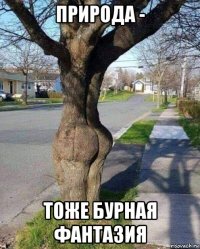 природа - тоже бурная фантазия