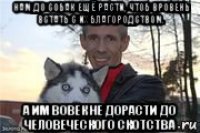 нам до собак ещё расти, чтоб вровень встать с их благородством. а им вовек не дорасти до человеческого скотства