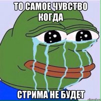 то самое чувство когда стрима не будет