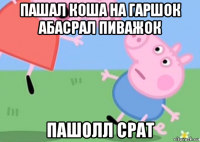пашал коша на гаршок абасрал пиважок пашолл срат