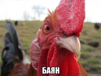  баян