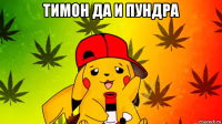 тимон да и пундра 