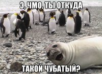 э, чмо, ты откуда такой чубатый?