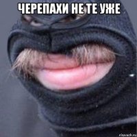 черепахи не те уже 