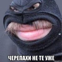  черепахи не те уже