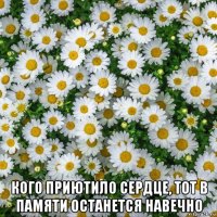  кого приютило сердце, тот в памяти останется навечно