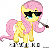  зиг хайль пони