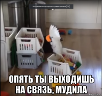  опять ты выходишь на связь, мудила