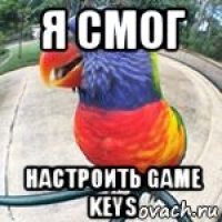 я смог настроить game keys