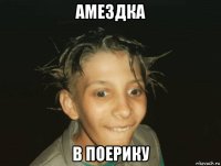 амездка в поерику
