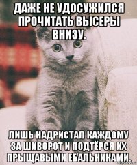 даже не удосужился прочитать высеры внизу. лишь надристал каждому за шиворот и подтёрся их прыщавыми ебальниками.