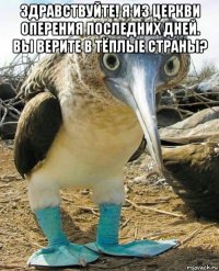 здравствуйте! я из церкви оперения последних дней. вы верите в тёплые страны? 