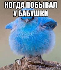 когда побывал у бабушки 