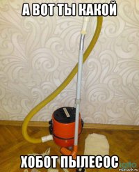 а вот ты какой хобот пылесос
