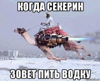 когда секерин зовет пить водку