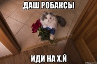 даш робаксы иди на х.й