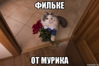 фильке от мурика