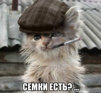  семки есть? ...