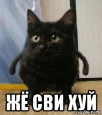  жё сви хуй
