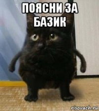 поясни за базик 