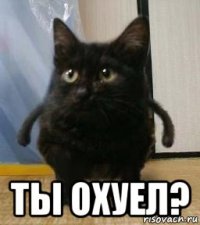  ты охуел?