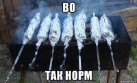во так норм