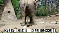  срать я хотел на ваши санкции