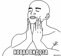  новая видоза