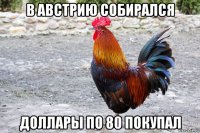 в австрию собирался доллары по 80 покупал