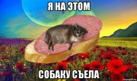я на этом собаку съела