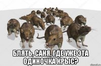  блять, саня, где уже эта одиночка крыс?