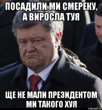 посадили ми смереку, а виросла туя ще не мали президентом ми такого хуя