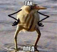 так плед